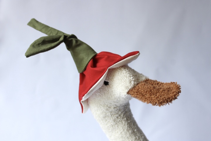 თეთრი იხვი წითელი ქუდით